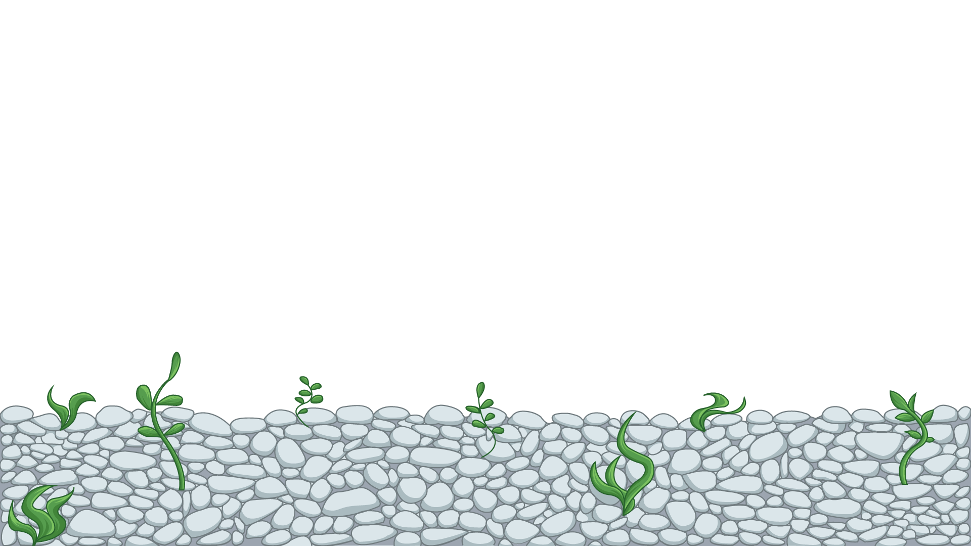 Layer 5